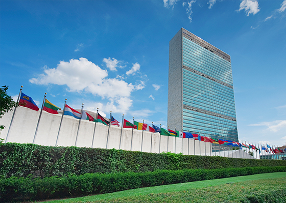 国際連合本部の建物と加盟国の国旗
