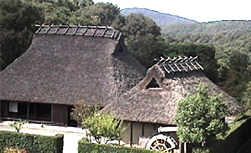 藁葺き屋根の家