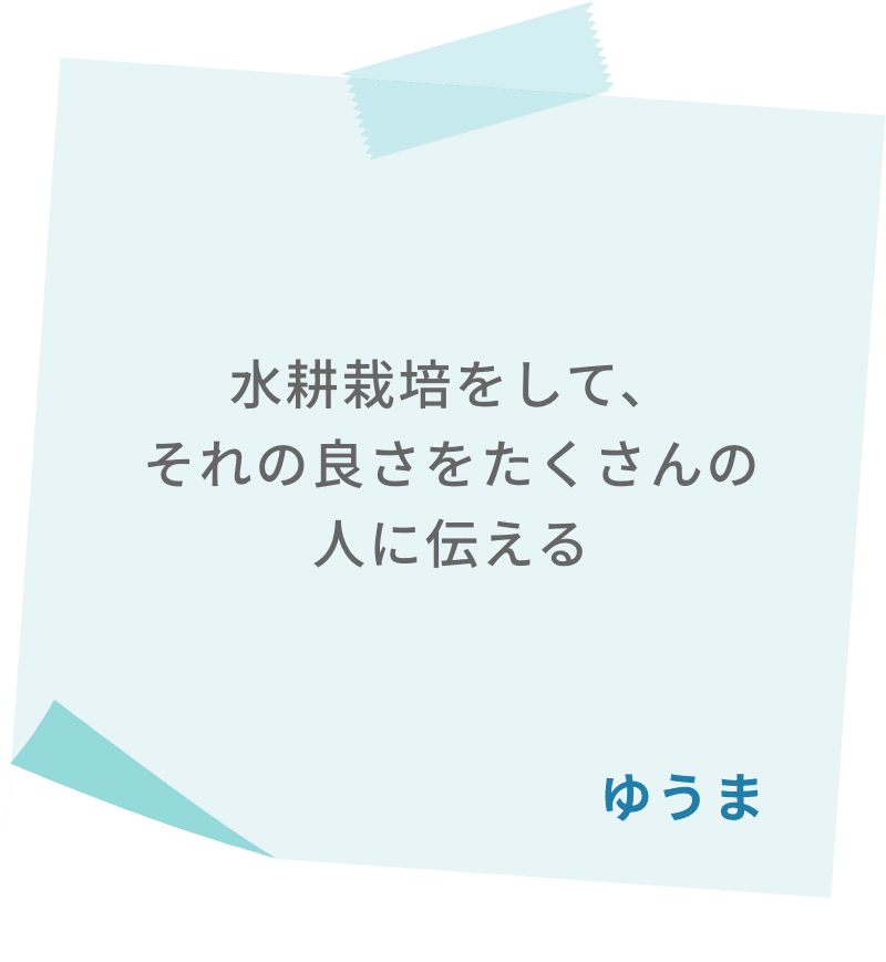 水耕栽培をして、それの良さをたくさんの人に伝える　ゆうま