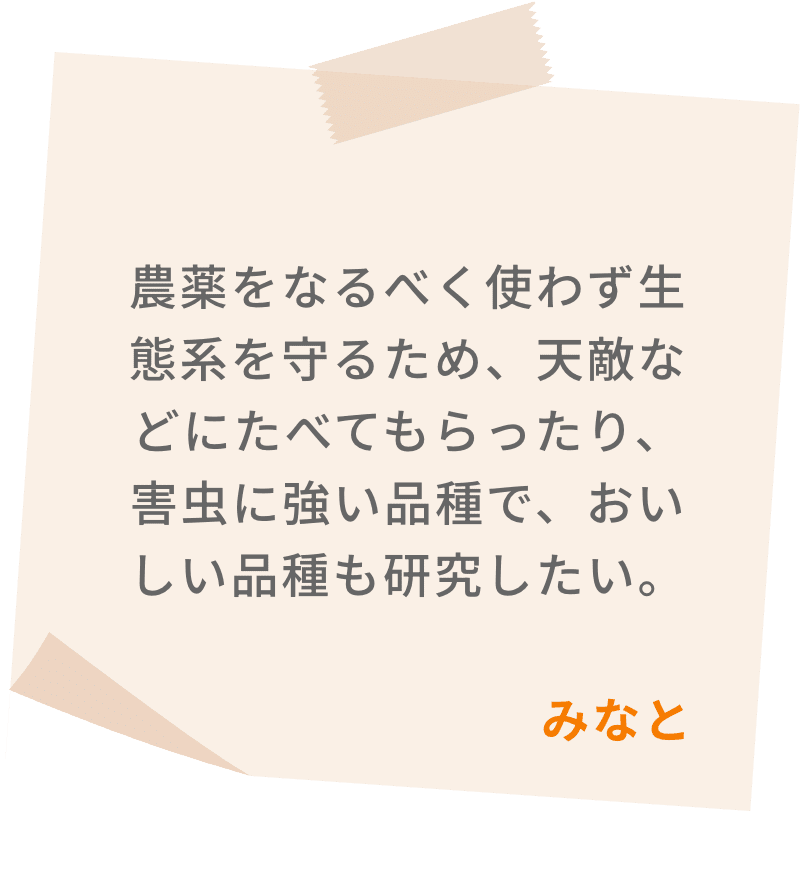農薬をなるべく使わず生態系を守るため、天敵などにたべてもらったり、害虫に強い品種で、おいしい品種も研究したい。　みなと
