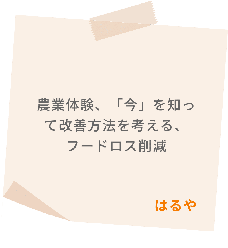 農業体験、「今」を知って改善方法を考える、フードロス削減　はるや