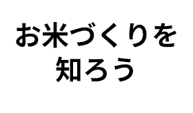 お米つくりを知ろう