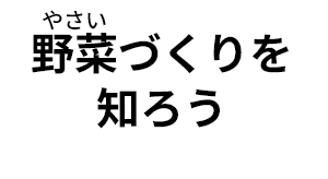 野菜つくりを知ろう