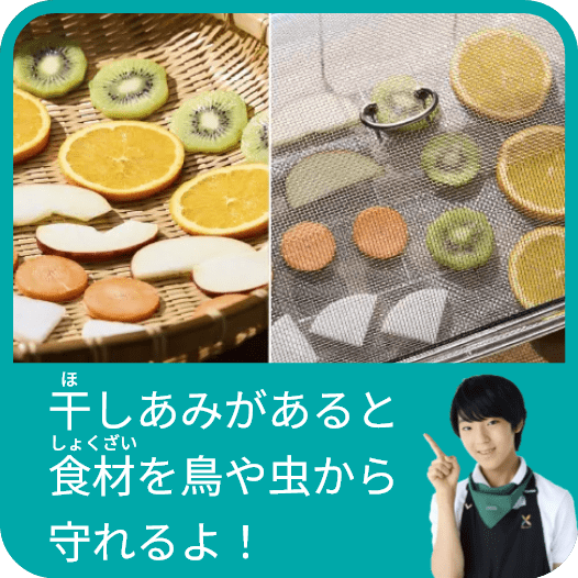 干しあみがあると食材を鳥や虫から守れるよ！