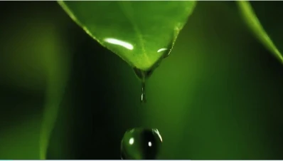 水
