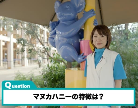 Question マヌカハニーの特徴は？