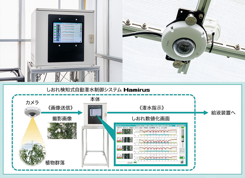 しおれ検知式自動かん水制御システム「Hamirus(ハミルス)」の製品イメージ