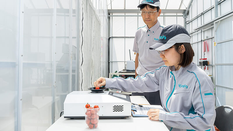 トマトの糖度計測イメージ