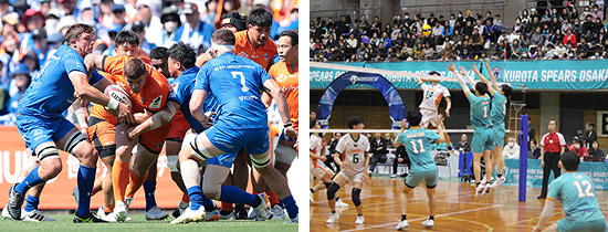 クボタスピアーズ試合観戦チケット等の優待