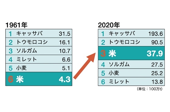 アフリカにおける主要6作物の生産量を1961年と2020年で比較した表