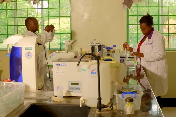 ムエアにあるケニア農業・畜産研究機構の実験棟で研究員が研究を行う様子