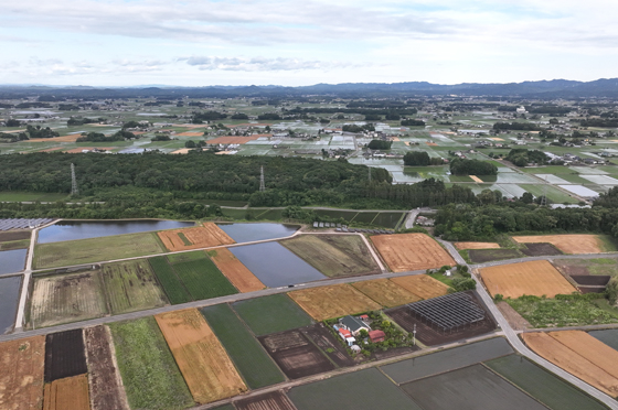 上空からみた田園風景