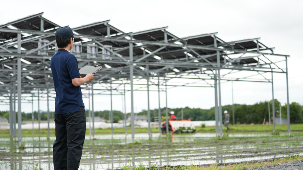 営農型太陽光発電の下で田植え作業をしている風景