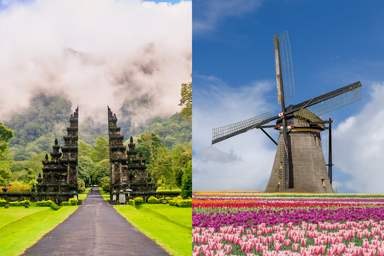 インドネシア、バリ島のヒンズー教の寺院(左)、オランダ、アムステルダムのチューリップと風車の風景(右)
