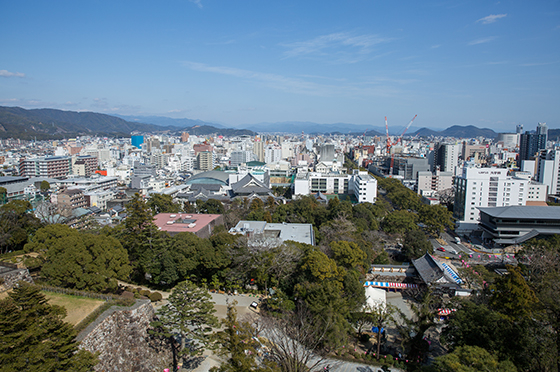 高知城から見下ろす市の中心部