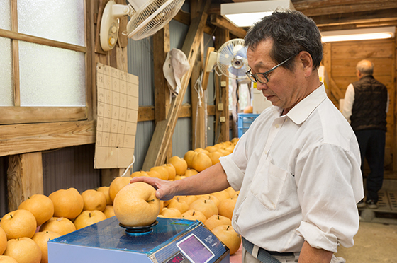 一つずつ計測しています。