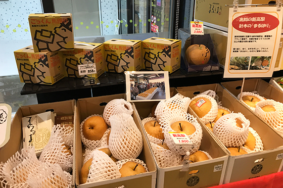 高知県アンテナショップでも販売