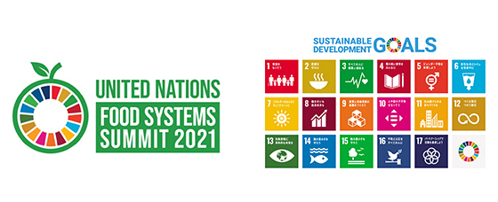 国連食料システムサミットのロゴとSDGsのロゴ及び17の目標アイコン｜