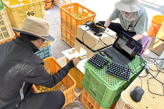 効率化を図るために自社開発中のAI自動選別機