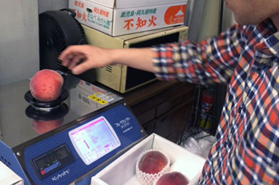 青果仲卸「神田万彦」で使われているクボタ製の「フルーツセレクター」で桃の糖度を測る店主
