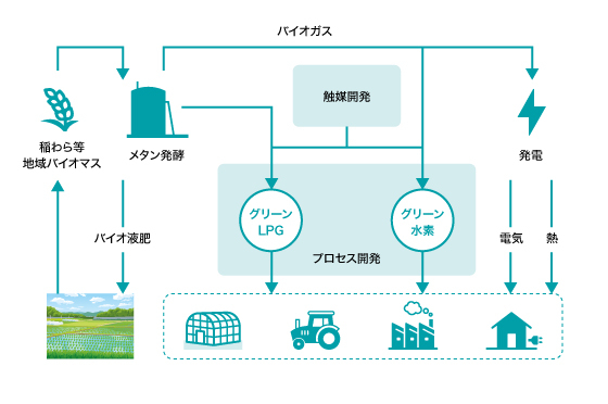 稲わら等を活用した、バイオマス地域資源循環イメージ図