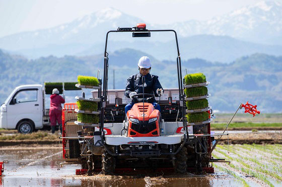 KSAS対応田植機で田植えを行う様子