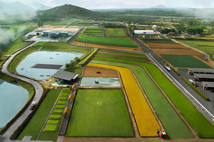 上空から撮影した実証農場「クボタファーム」