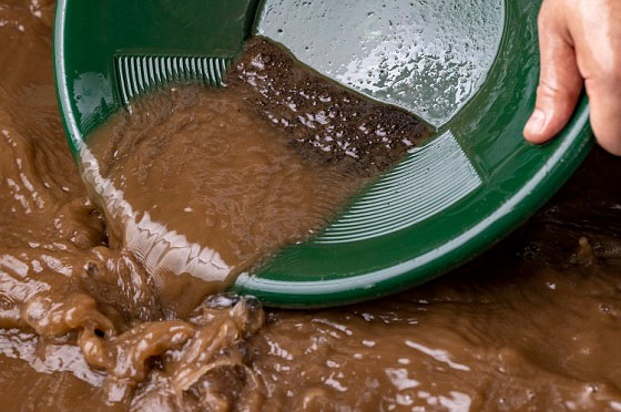 プラスチックの皿を使って選別中