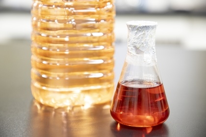 桜色活力剤の原液と希釈液