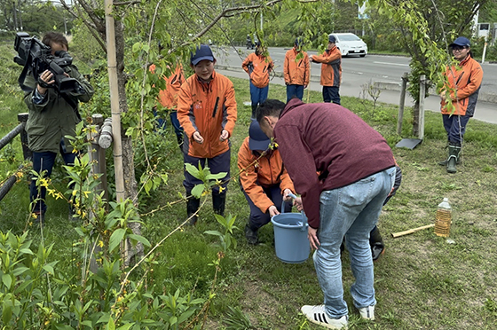 柴田町民とともに桜色活力剤を散布