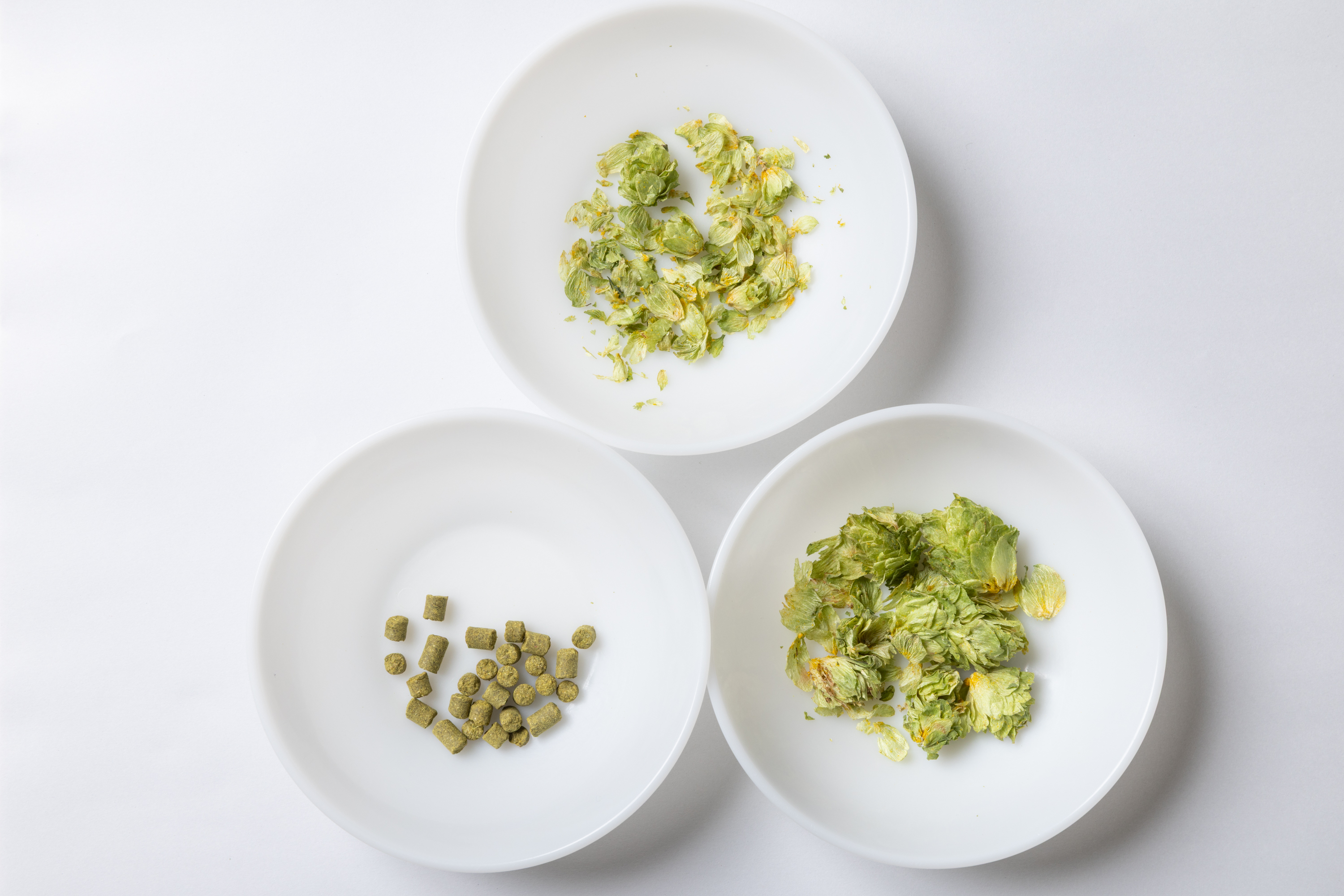 乾燥させたホップ2種と市販のペレット状のホップ