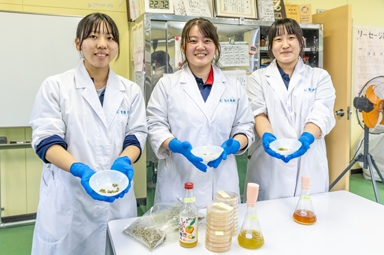 ソーセージ研究班3年の残り3人のメンバー