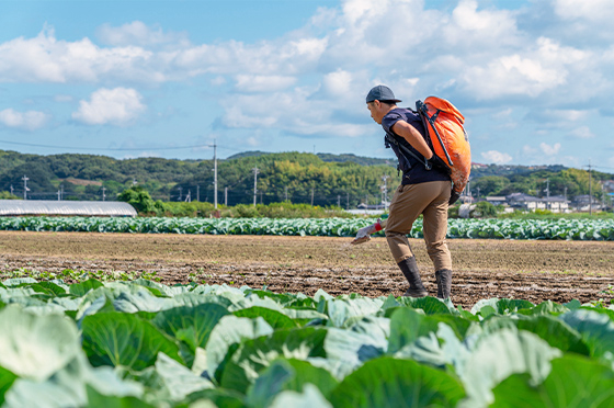 20㎏の肥料が入ったタンクを背負い、ほ場に肥料を散布する川本圭悟さん