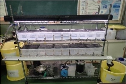 自作した観賞魚の飼育装置