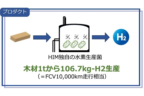 シロアリが生成した水素を製品化するイメージ図