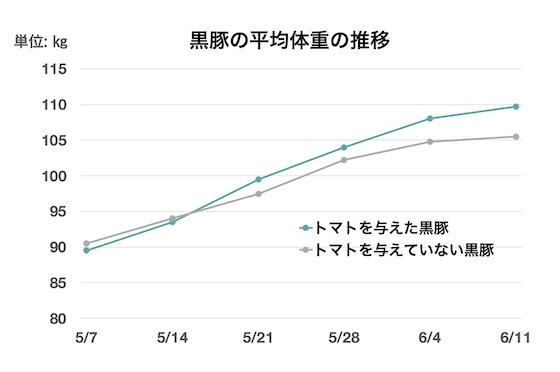 通常の飼料と与えた黒豚と、トマト入りの飼料を与えた黒豚の平均体重の推移を比較したグラフ