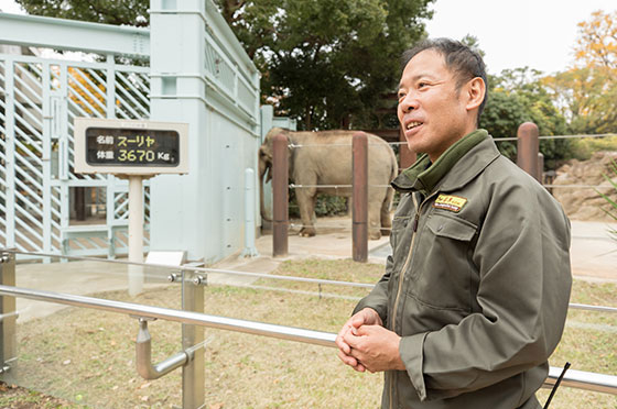 上野動物園　教育普及課　鈴木さんにお話を伺いました。