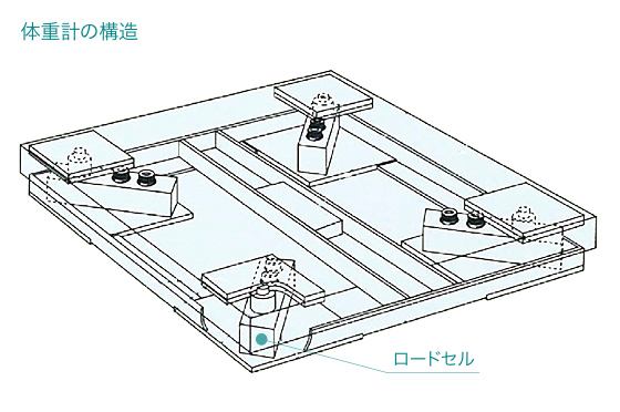 動物の体重計の仕組み