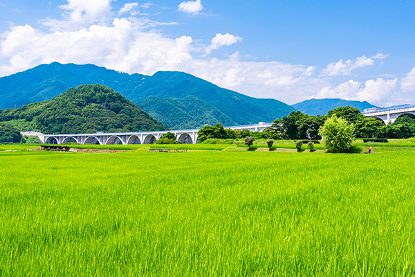 田んぼがもつ役割