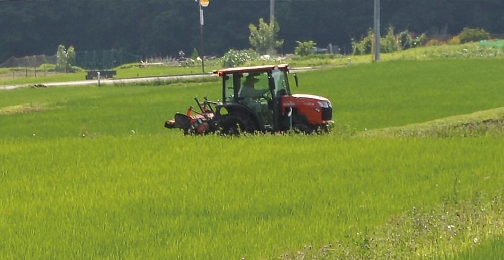 柏原地区と茅野市の田んぼ