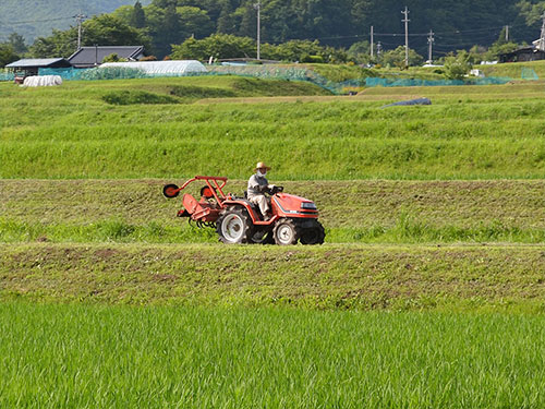 畦道を走るトラクタ