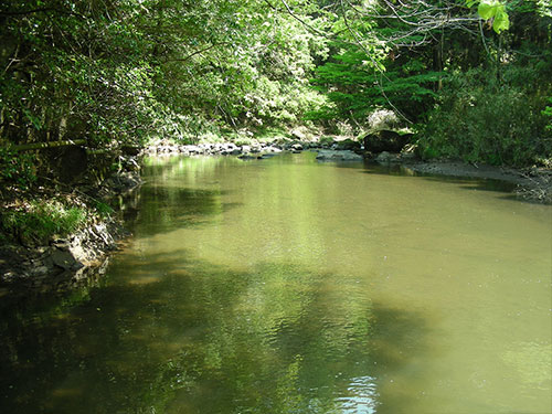 笹原川水源