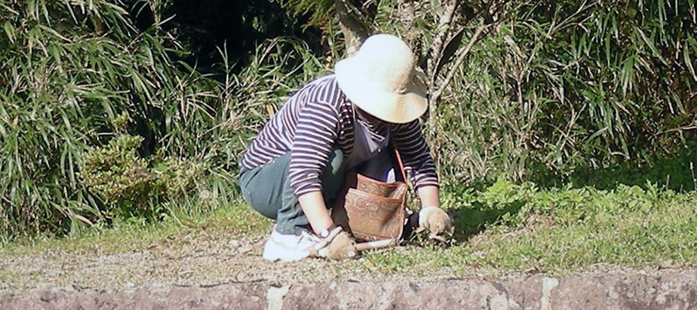 草刈りをする女性