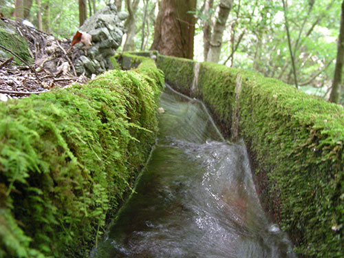 第二観音水の水源