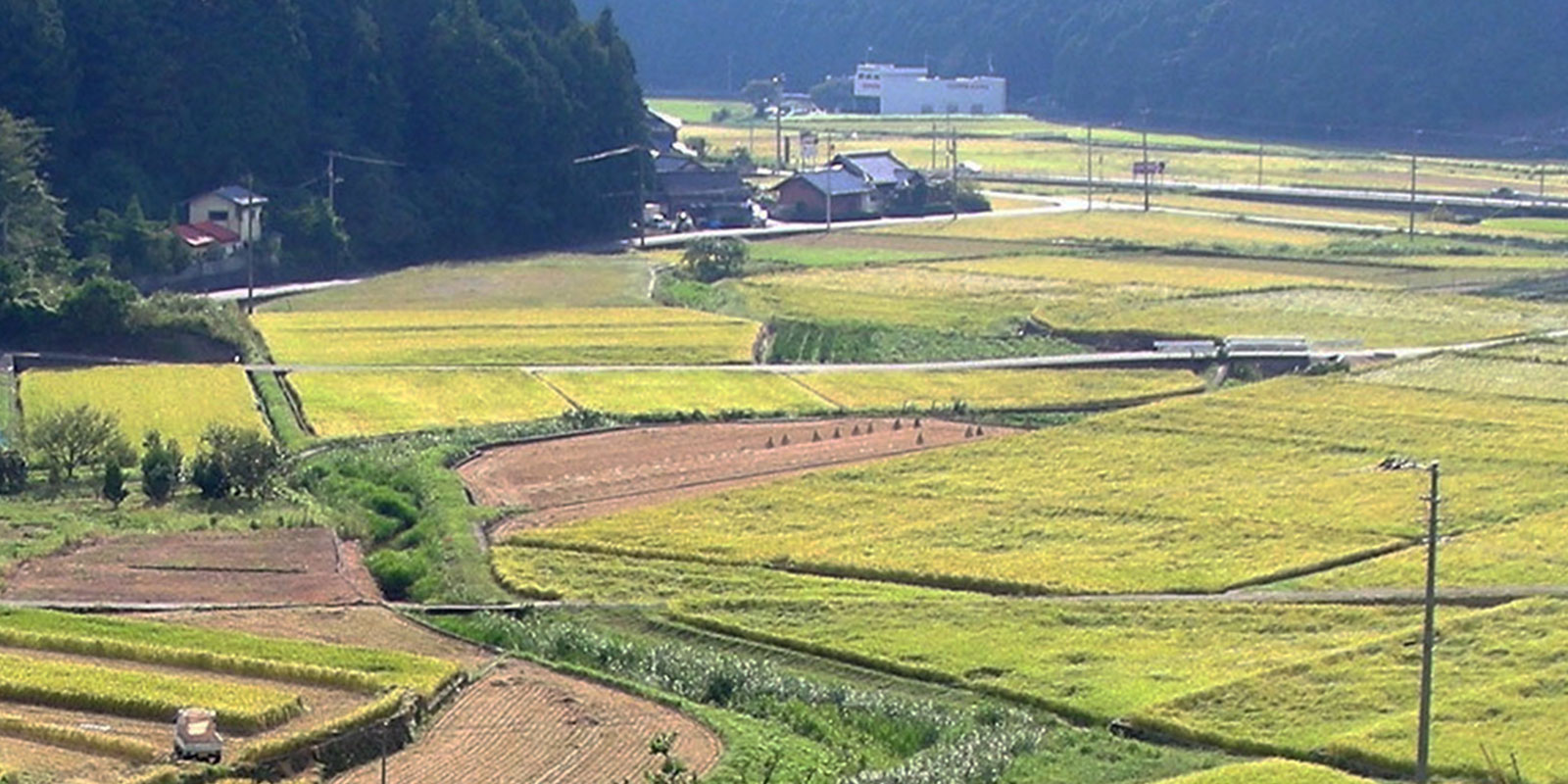 宇和町に残る伝統とこれから