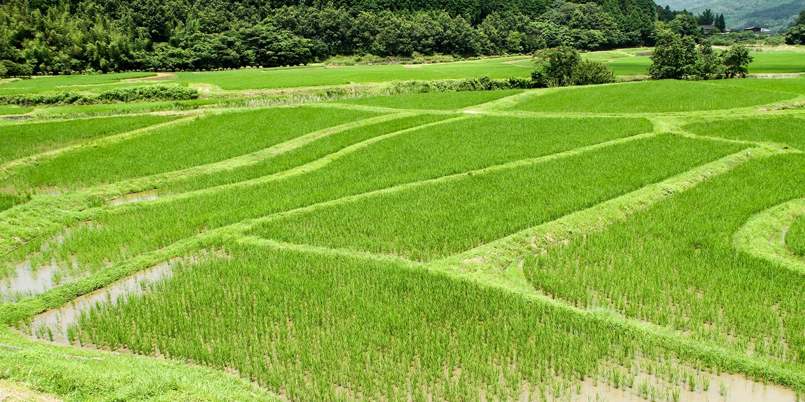 飛鳥・奈良・平安・鎌倉時代