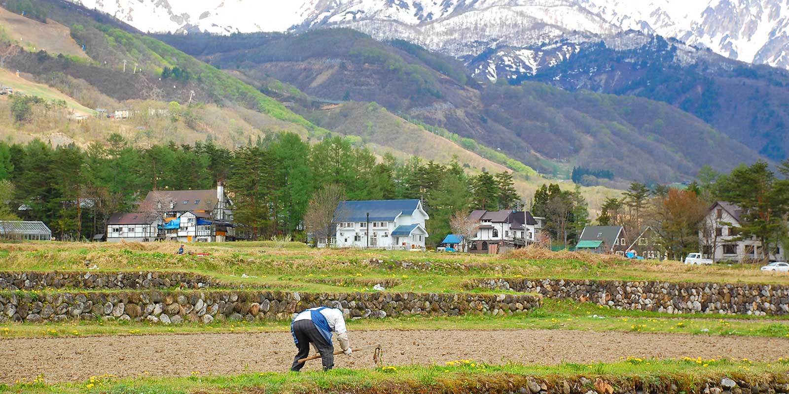 鍬 くわ や鋤 すき を使った 田起こし 稲作の歴史とそれを支えた伝統農具 稲作の歴史 クボタのたんぼ 学んで楽しい たんぼの総合情報サイト