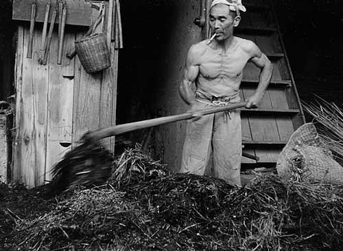 ネッチョ 藁穫なや ライフル 体ｗｙｗｙｗｙｗｙｗｙｗｙ 食料に関連した画像-02