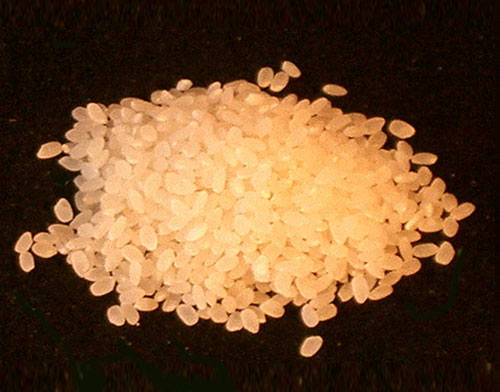 精米後の米