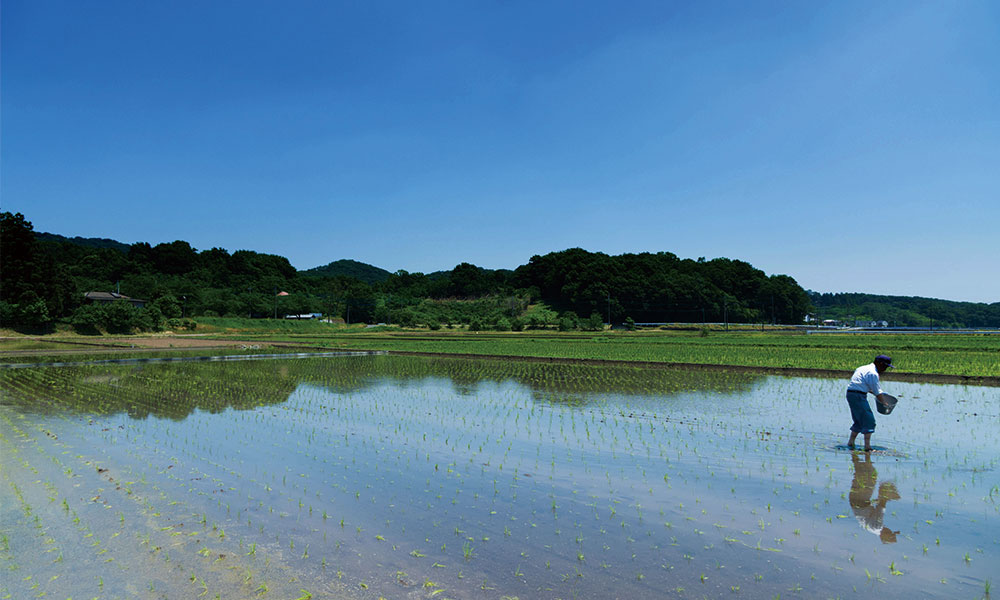 除草剤を撒く人